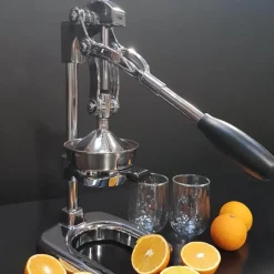 Amalfi juicer stål