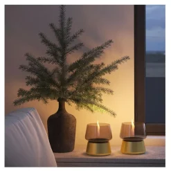 Amaryllis lys 14 cm gull/champagne