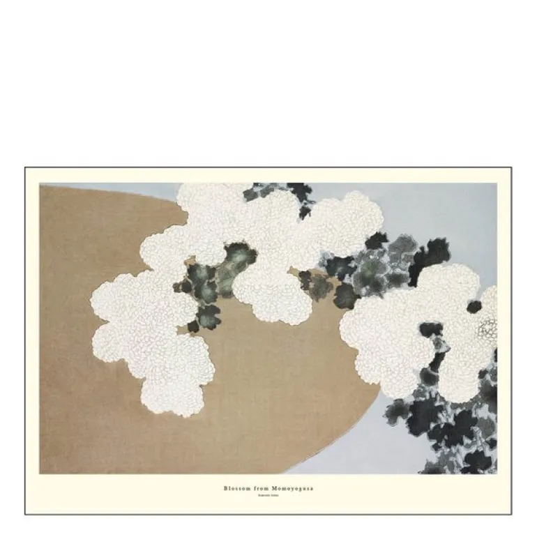 A.P. Atelier poster 50x70 cm blossom from momoyogusa