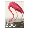 A.P. Atelier poster 50x70 cm the zoo collection pink flamingo edt. 002