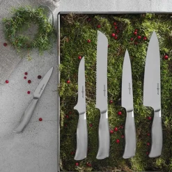 Backaryd Knivsett 5 deler