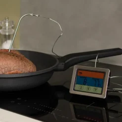 Basis digitalt steketermometer