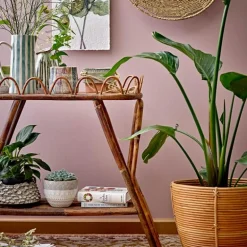 Begonia mugge 1,3L grønn