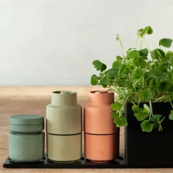 Billund muskatkrydderkvern 8 cm persille