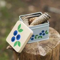 Blåbær matboks 8x10 cm blå