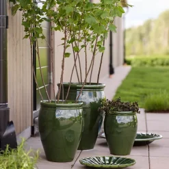 Blänk fat 51 cm irish green