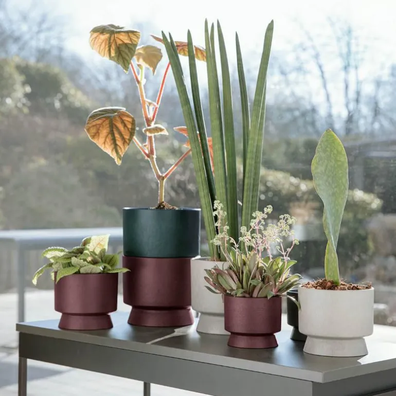 Blomsterpotte Ø19 cm bordeaux