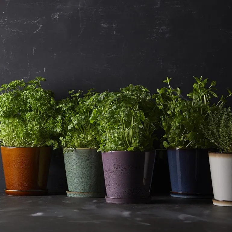 Blomsterpotte 14 cm grønn/svart