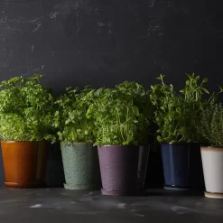 Blomsterpotte 14 cm mørk blå/svart