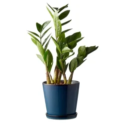 Blomsterpotte 14 cm mørk blå/svart