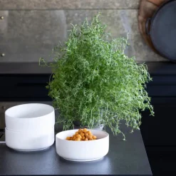 Bolle liten 6x14 cm hvit