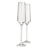 Celebration champagneglass 19 cl 2 stk klar