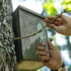 Classic 8 foldekniv 9 cm rustfritt stål/titan