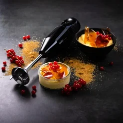 Cordless stavmikser 10,8 volt svart