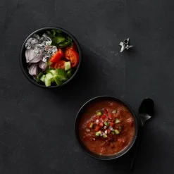 Cordless stavmikser 10,8 volt svart