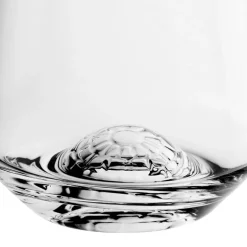 Deep Spirit whiskyglass 41 cl Igloo