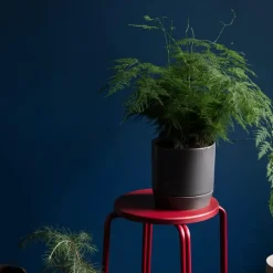 Denise blomsterpotte 21x21 cm charcoal grey