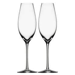 Difference Sparkling Champagneglass 32 cl 2 stk