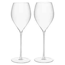 Elegance champagneglass 29 cl 2 stk klar
