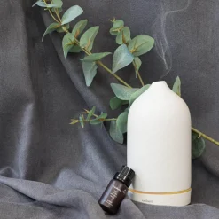 Eterisk olje øko Eucalyptus