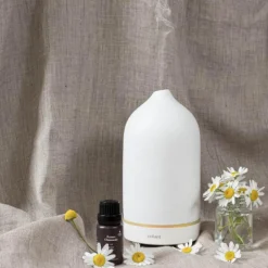 Eterisk olje øko Roman Chamomile