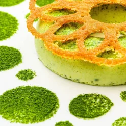 Former i silikon inner circle 3 stk