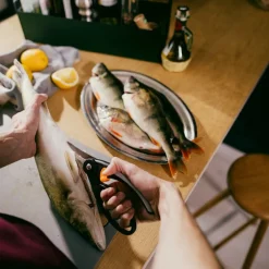 Functional Form fiskesaks 22 cm