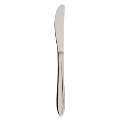 Gastro kniv 21 cm mirror polish