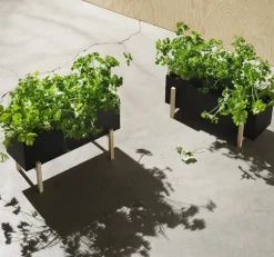 Greenery botanic urteboks