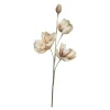 Happia stor dekorasjonsblomst 15x85 cm sand