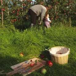 Hardanger fruktsett 12 deler