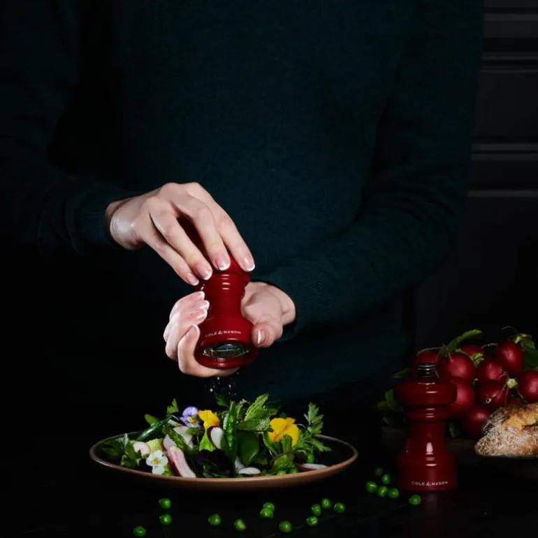 Hoxton saltkvern 10 cm rød