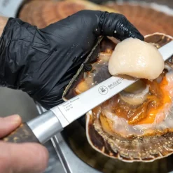 Hunter premium chef filetkniv 29,5 cm blank/natur