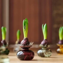 Inu vase 11x9 cm plum