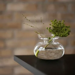 Inu vase 11x9 cm pure clear