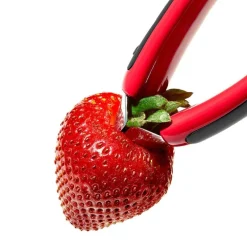 Jordbærstilkfjerner