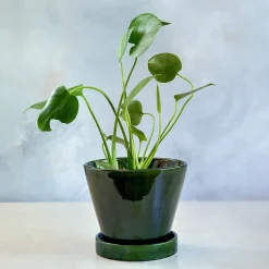 Julie blomsterpotte 17 cm grønn emerald