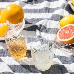 June picknick vannglass 28 cl 4 stk klar