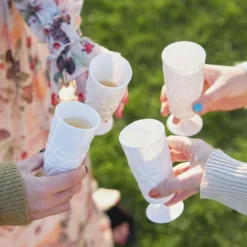 Juni piknik glass på stett 20 cl 4 stk