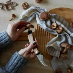 Karl-Johan soppkurv med soppkniv