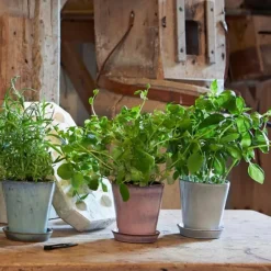 Krukke m/fat H12 cm rosa