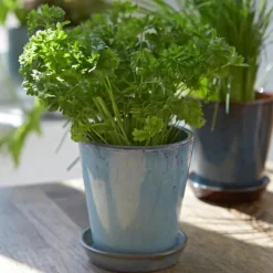 Krukke m/fat H12 cm støv blå