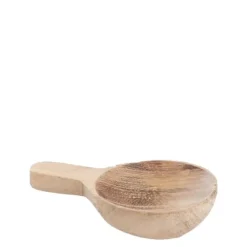 Krydderskje akasietre 8 cm