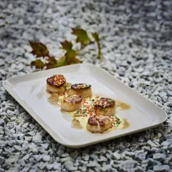 Nemo tallerken 21x29,5 cm sand