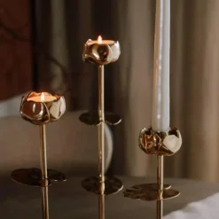 Ninfea Alta lysestake 30 cm