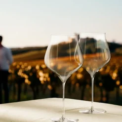 Notes bourgogneglass 94 cl 2 stk klar