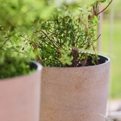 Nova blomsterpotte 29x50 cm concrete gold