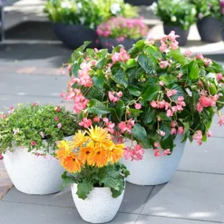 Nova blomsterpotte 43x33 cm terrazzowhite