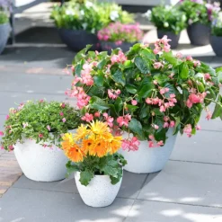 Nova blomsterpotte 36x27 cm terrazzowhite