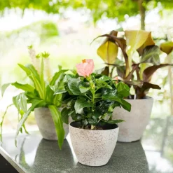 Nova blomsterpotte 36x27 cm terrazzowhite